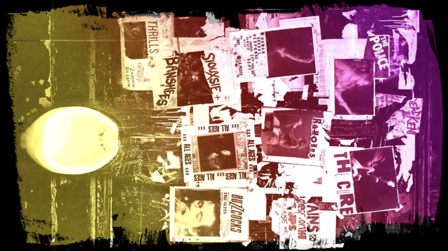 Days of Punk — Southeast Museum of Photography